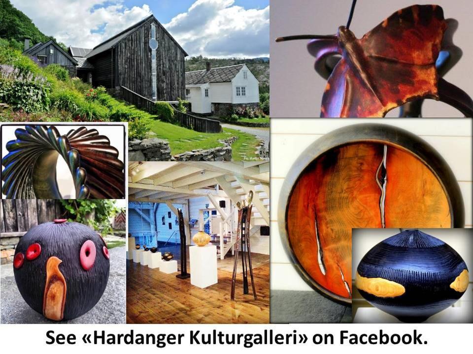 Apartment 2, Herand, Hardanger 外观 照片
